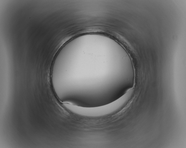 X0000111951177200908171311