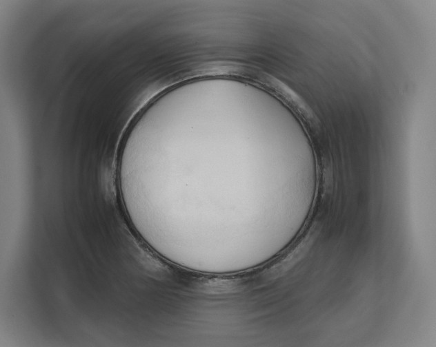 X0000111951178200908171311