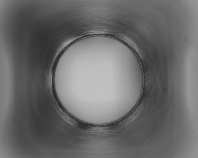 X0000111951179200908171311