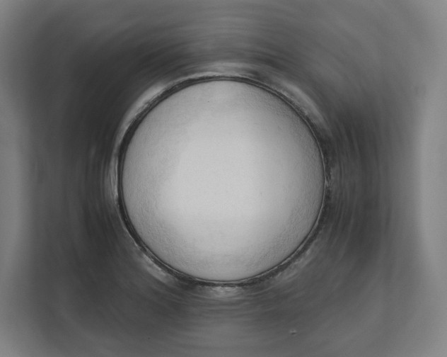 X0000111951180200908171311