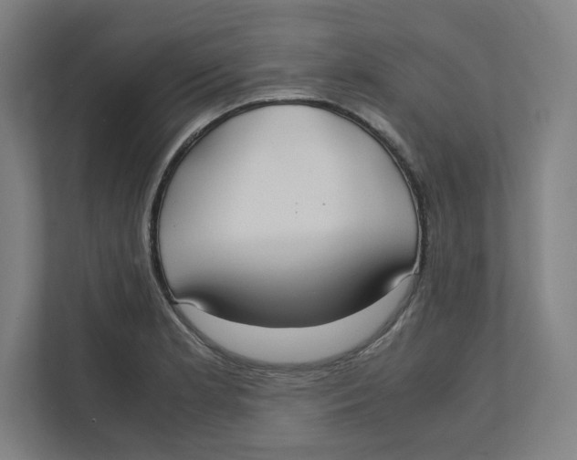 X0000111951181200908171311