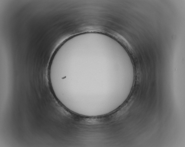 X0000111951182200908171311