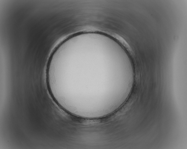 X0000111951183200908171311