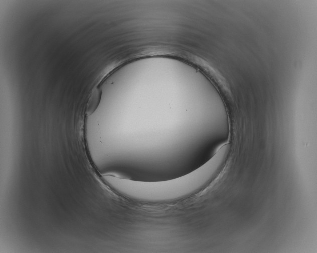 X0000111951185200908171311