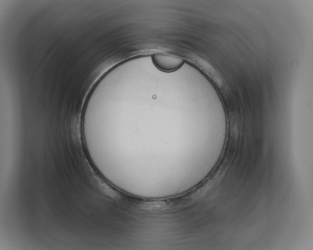 X0000111951186200908171311