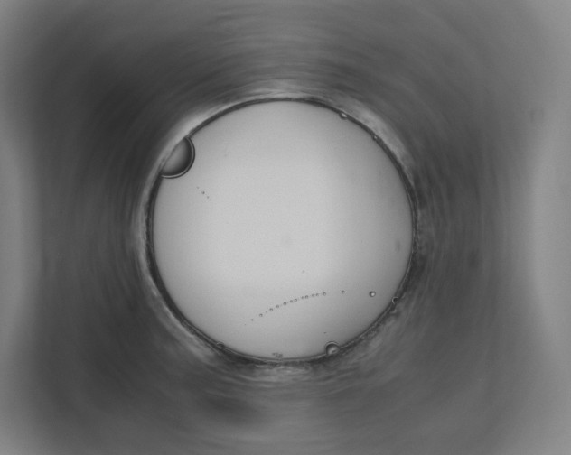 X0000111951187200908171311