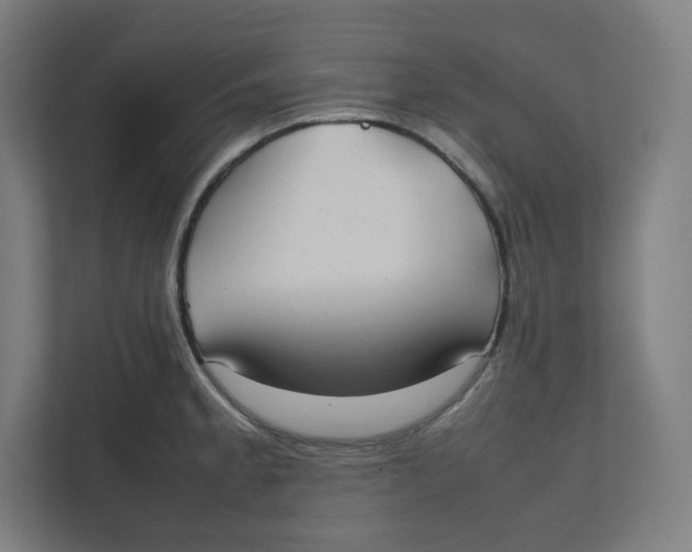 X0000111951189200908171311