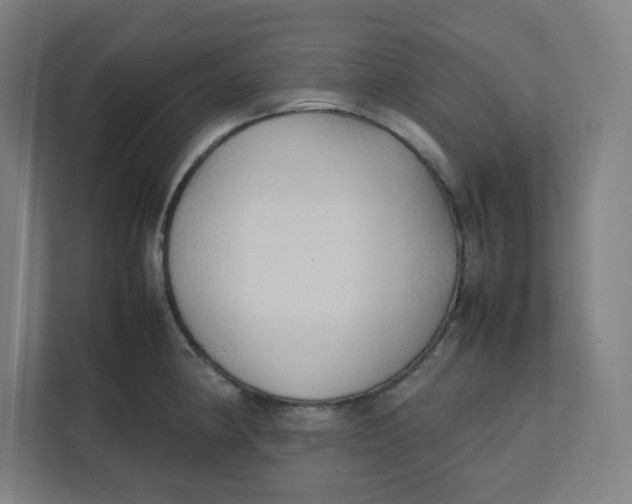 X0000111951190200908171311