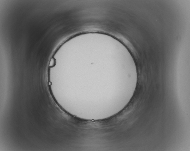 X0000111951191200908171311