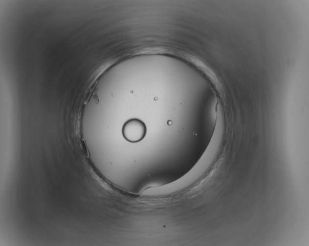 X0000111951193200908171311