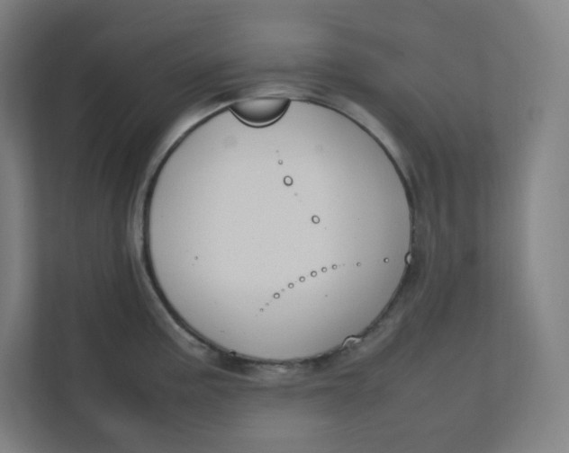 X0000111951195200908171311