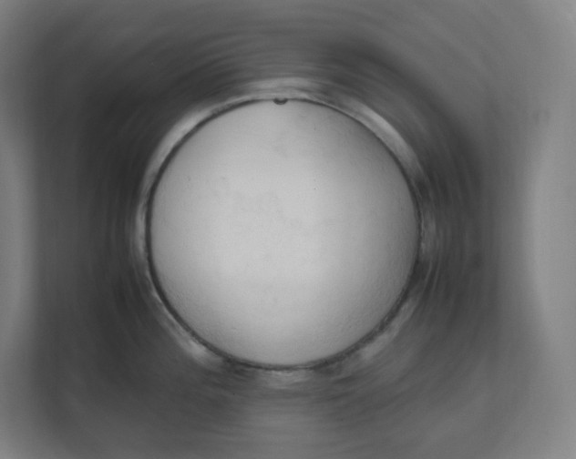 X0000111951196200908171311