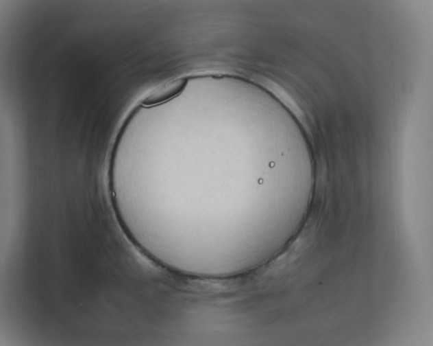 X0000111951197200908171311