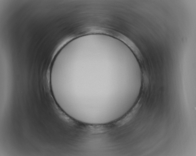 X0000111951198200908171311