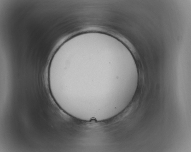 X0000111951199200908171311