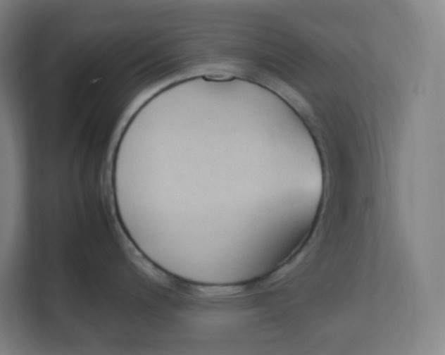 X0000111951200200908171311