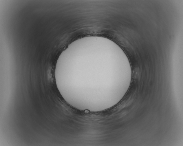 X0000111951202200908171311