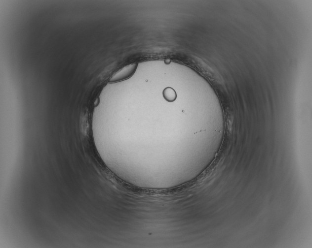 X0000111951204200908171311