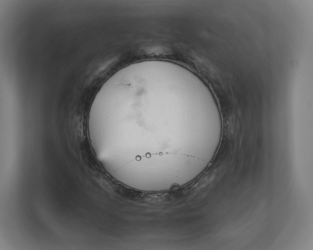 X0000111951205200908171311