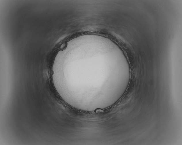 X0000111951206200908171311