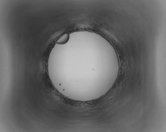 X0000111951207200908171311