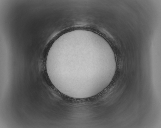 X0000111951208200908171311