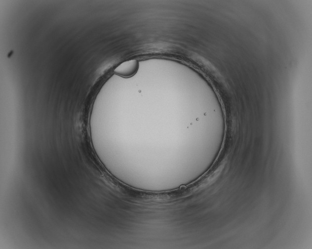 X0000111951210200908171311