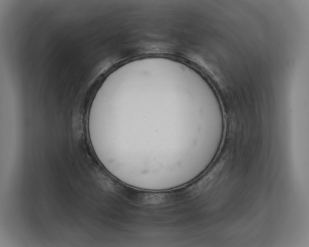 X0000111951211200908171311