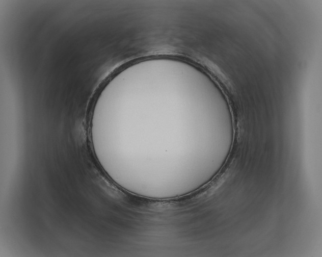 X0000111951212200908171311