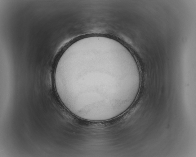 X0000111951214200908171311