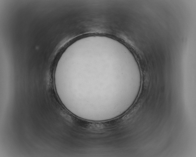 X0000111951215200908171311