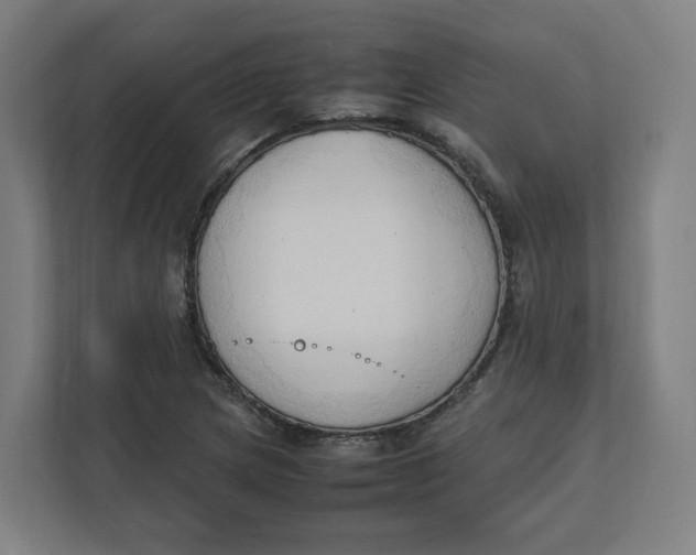 X0000111951217200908171311