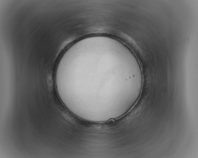 X0000111951218200908171311