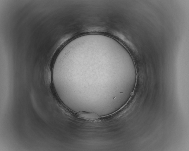 X0000111951221200908171311