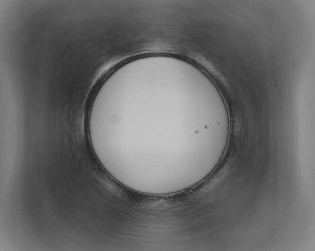 X0000111951222200908171311