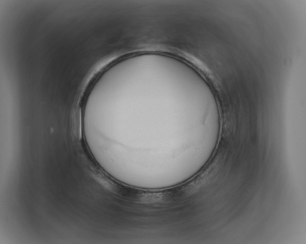 X0000111951223200908171311