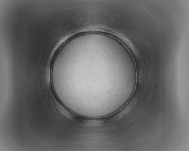 X0000111951224200908171311