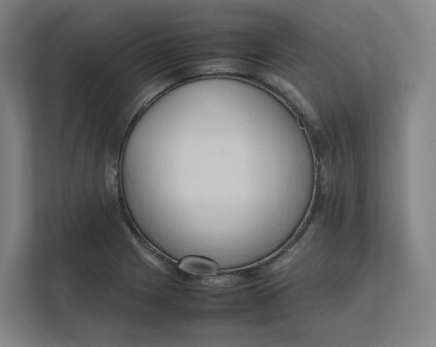 X0000111951225200908171311