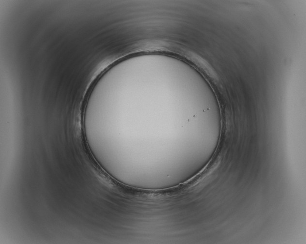 X0000111951226200908171311