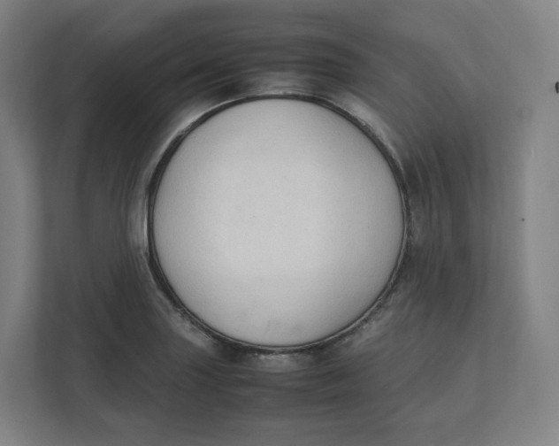 X0000111951227200908171311