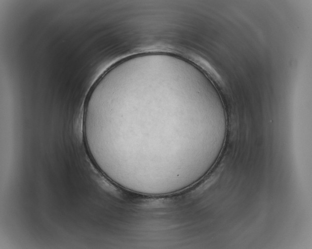 X0000111951228200908171311