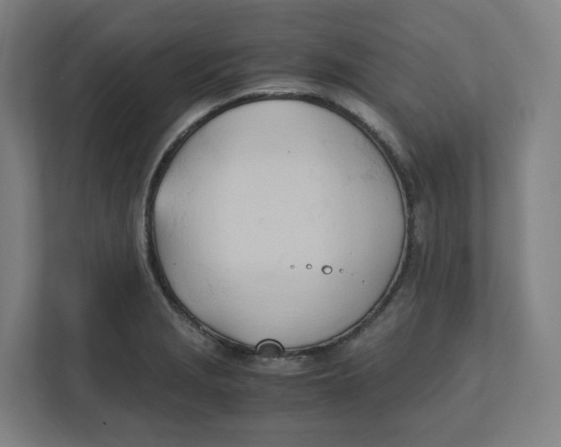 X0000111951229200908171311