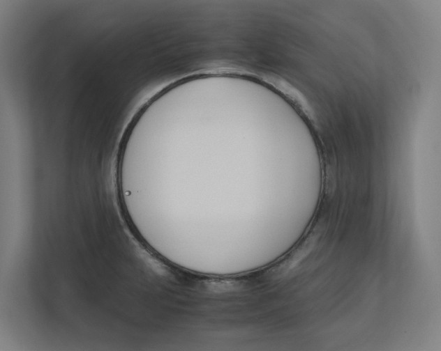 X0000111951231200908171311