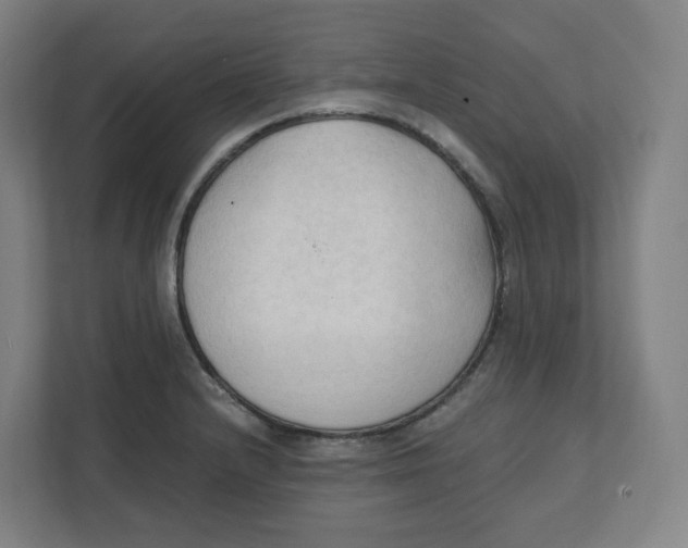 X0000111951232200908171311