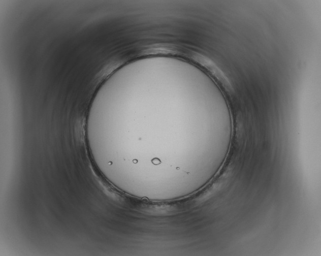 X0000111951233200908171311