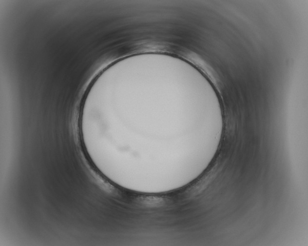 X0000111951235200908171311