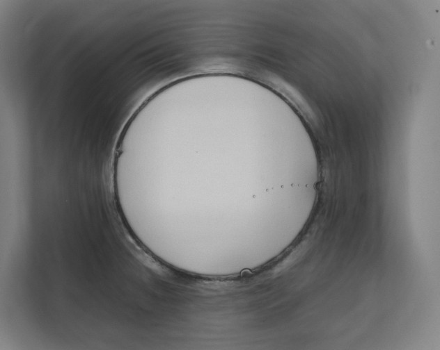 X0000111951236200908171311