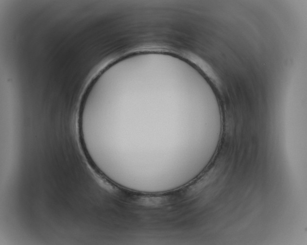 X0000111951237200908171311