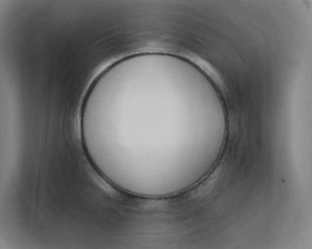 X0000111951238200908171311