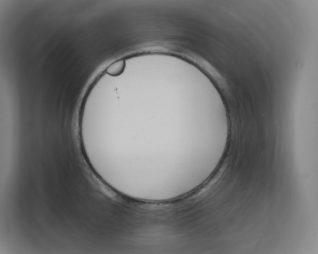 X0000111951240200908171311